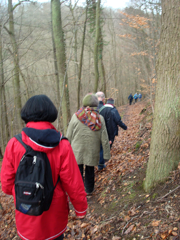 Wandern%20nach%20Balduinstein%2017.2.13%20007_2304x3072